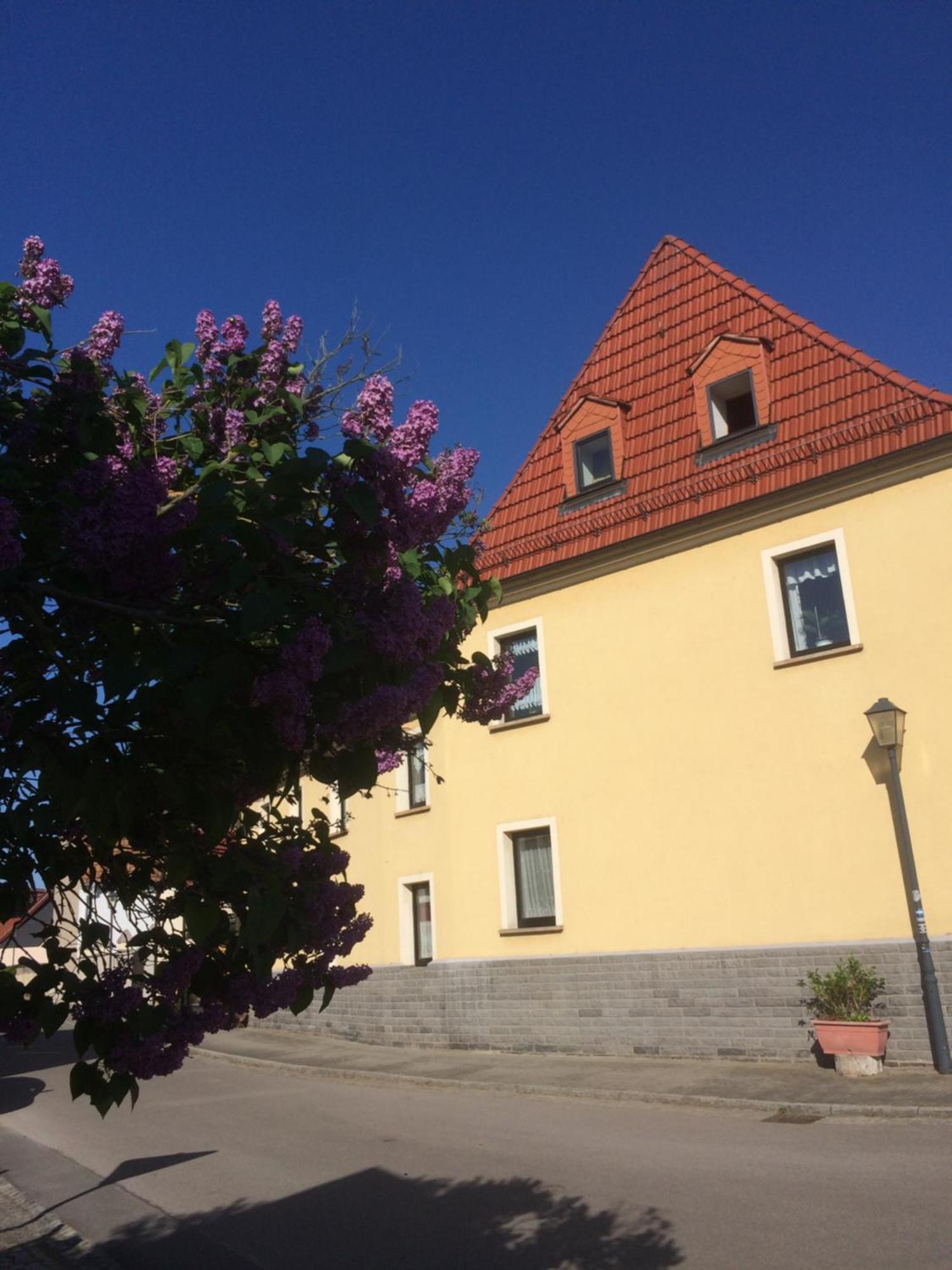 Otterbau Apartment Belgern-Schildau Exterior photo